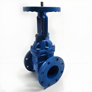 手動(dòng)閘閥Z41T-16 DN50/DN65廠家直銷，上海發(fā)